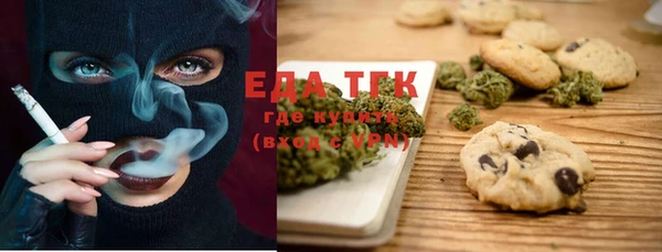 хмурый Аркадак
