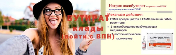 хмурый Аркадак