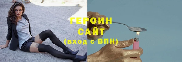 хмурый Аркадак