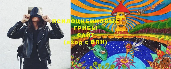 хмурый Аркадак