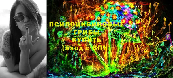 хмурый Аркадак