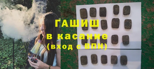 хмурый Аркадак