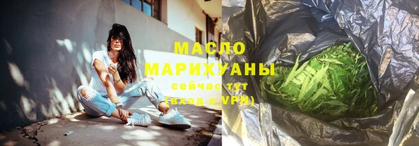 хмурый Аркадак