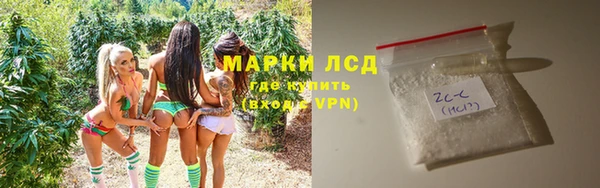 хмурый Аркадак