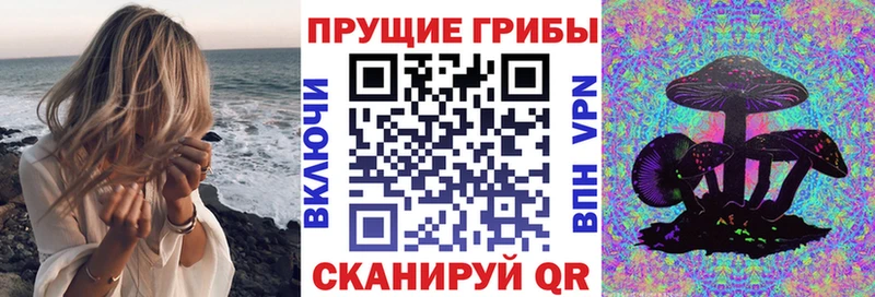 Псилоцибиновые грибы GOLDEN TEACHER OMG ТОР Бакал