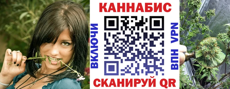 продажа наркотиков Бакал Шишки марихуана семена